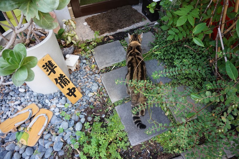 DSC01665.JPG DSC01665.JPG