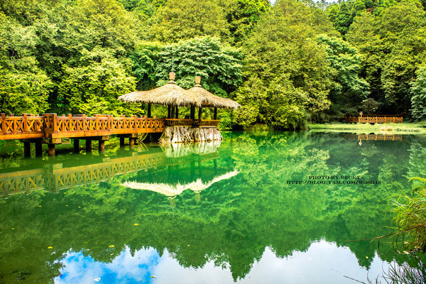 阿里山沼平車站姊妹潭：阿里山國家風景區→阿里山百年郵局．搭乘阿里山森林鐵路(沼平車站)至遊客稀少的檜木群環潭步道「姊妹潭」森呼吸│ 阿里山綠色鐵道之旅!