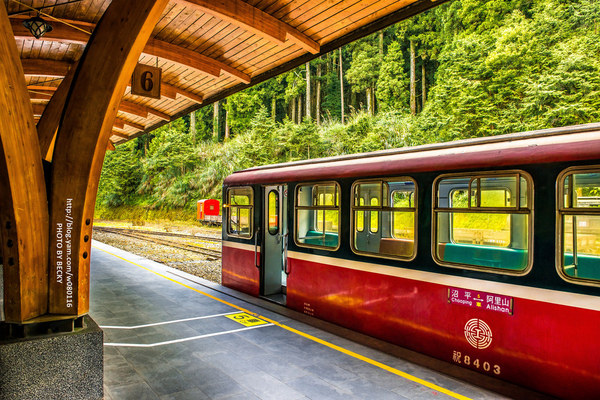 阿里山沼平車站姊妹潭：阿里山國家風景區→阿里山百年郵局．搭乘阿里山森林鐵路(沼平車站)至遊客稀少的檜木群環潭步道「姊妹潭」森呼吸│ 阿里山綠色鐵道之旅!