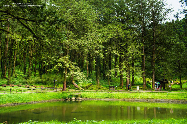 阿里山沼平車站姊妹潭：阿里山國家風景區→阿里山百年郵局．搭乘阿里山森林鐵路(沼平車站)至遊客稀少的檜木群環潭步道「姊妹潭」森呼吸│ 阿里山綠色鐵道之旅!
