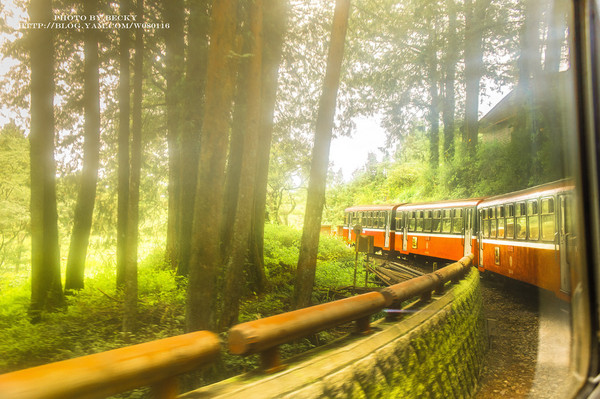 阿里山沼平車站姊妹潭：阿里山國家風景區→阿里山百年郵局．搭乘阿里山森林鐵路(沼平車站)至遊客稀少的檜木群環潭步道「姊妹潭」森呼吸│ 阿里山綠色鐵道之旅!