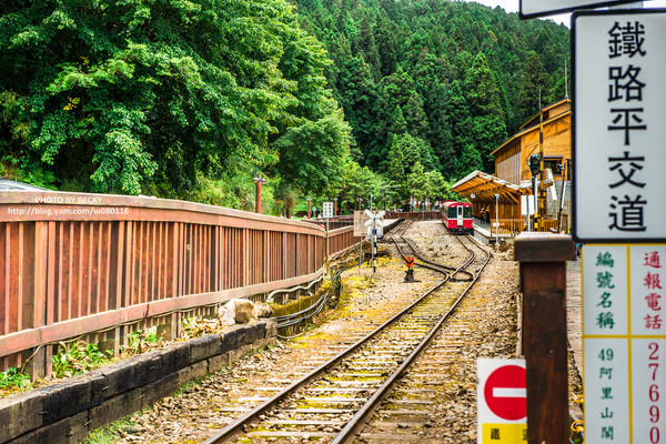 阿里山沼平車站姊妹潭：阿里山國家風景區→阿里山百年郵局．搭乘阿里山森林鐵路(沼平車站)至遊客稀少的檜木群環潭步道「姊妹潭」森呼吸│ 阿里山綠色鐵道之旅!