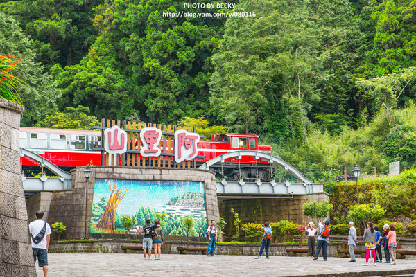 阿里山沼平車站姊妹潭：阿里山國家風景區→阿里山百年郵局．搭乘阿里山森林鐵路(沼平車站)至遊客稀少的檜木群環潭步道「姊妹潭」森呼吸│ 阿里山綠色鐵道之旅!