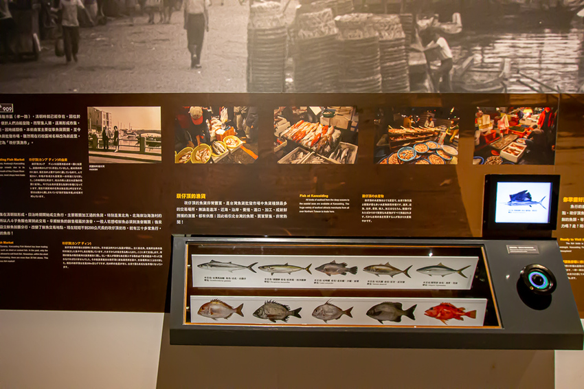 基隆市，基隆潮境海灣節玩什麼?!不妨8月試試新玩法~來解謎吧!!