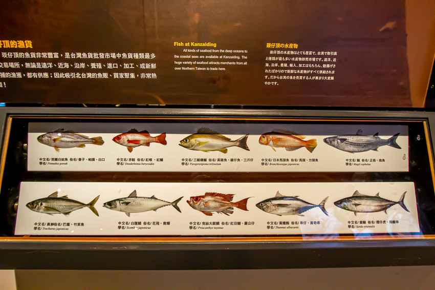 基隆市，基隆潮境海灣節玩什麼?!不妨8月試試新玩法~來解謎吧!!