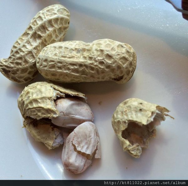 10169462_1508767912732079_6979353389018940635_n.jpg 10169462_1508767912732079_6979353389018940635_n.jpg