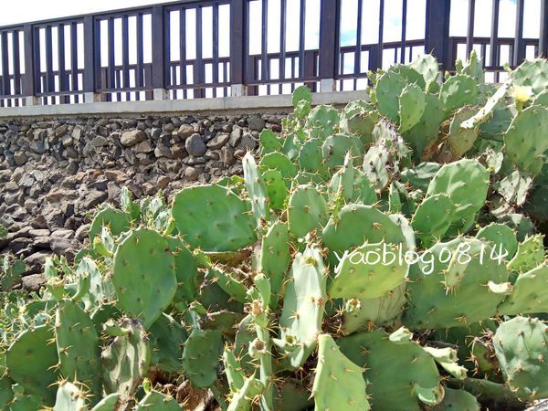 鯨魚洞與小門地質館_05.jpg 鯨魚洞與小門地質館_05.jpg