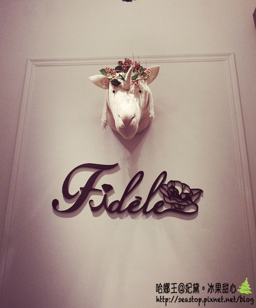 SAM_8445_mh1418272023051