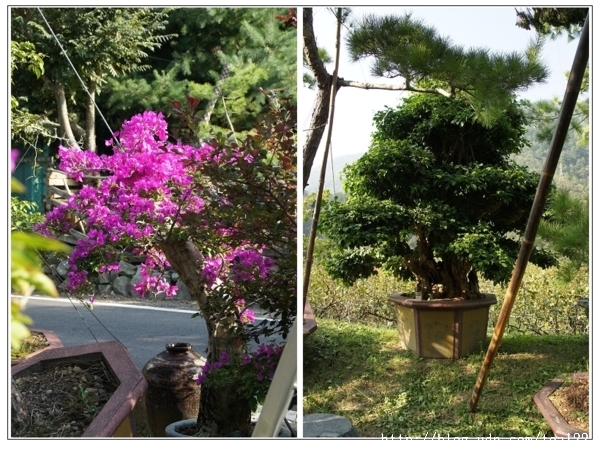 隱身山中的文人雅士--松畫居黃順良