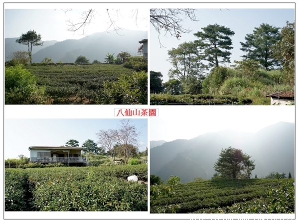 隱身山中的文人雅士--松畫居黃順良