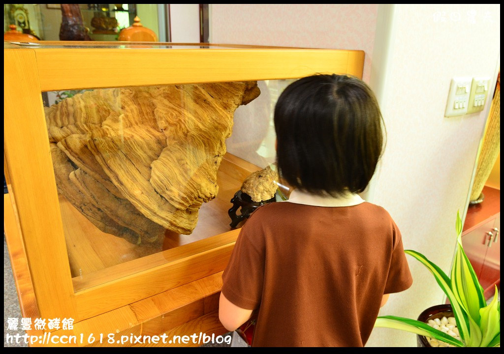 【台南旅遊】麗豐微酵館‧臺灣第一家以【微生物發酵應用】主題的觀光工廠