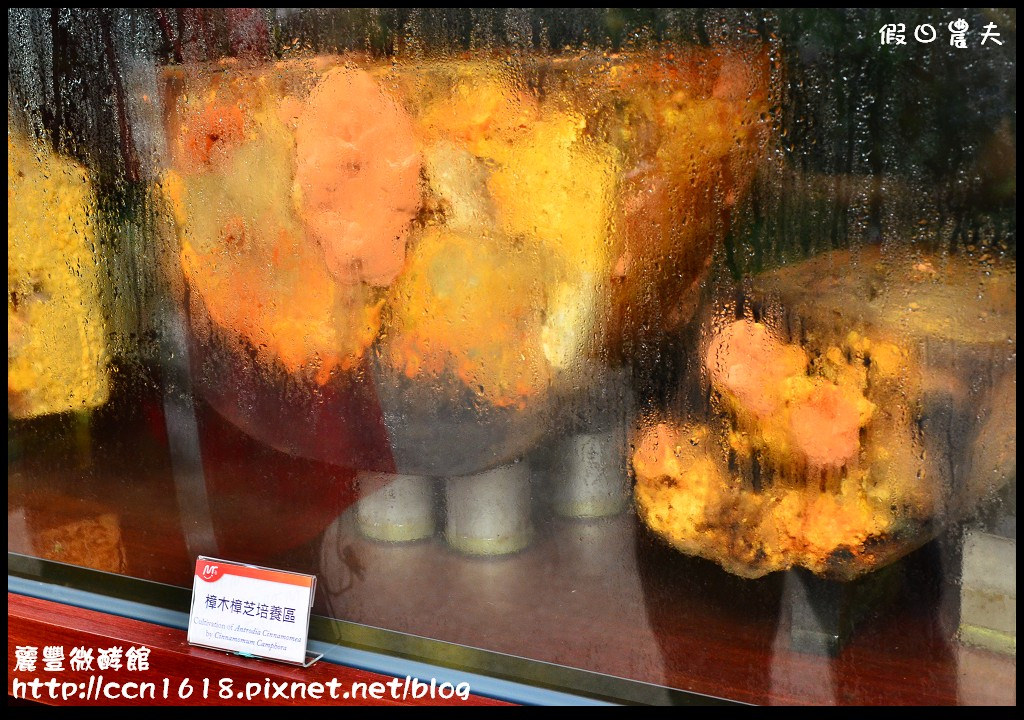 【台南旅遊】麗豐微酵館‧臺灣第一家以【微生物發酵應用】主題的觀光工廠