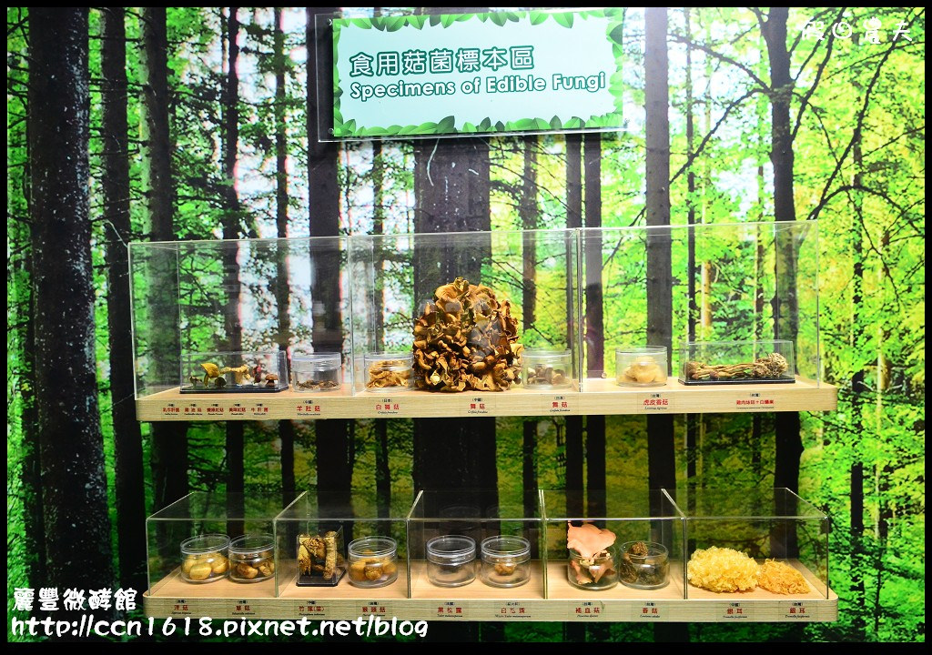 【台南旅遊】麗豐微酵館‧臺灣第一家以【微生物發酵應用】主題的觀光工廠