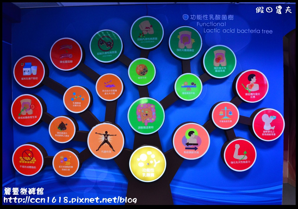 【台南旅遊】麗豐微酵館‧臺灣第一家以【微生物發酵應用】主題的觀光工廠