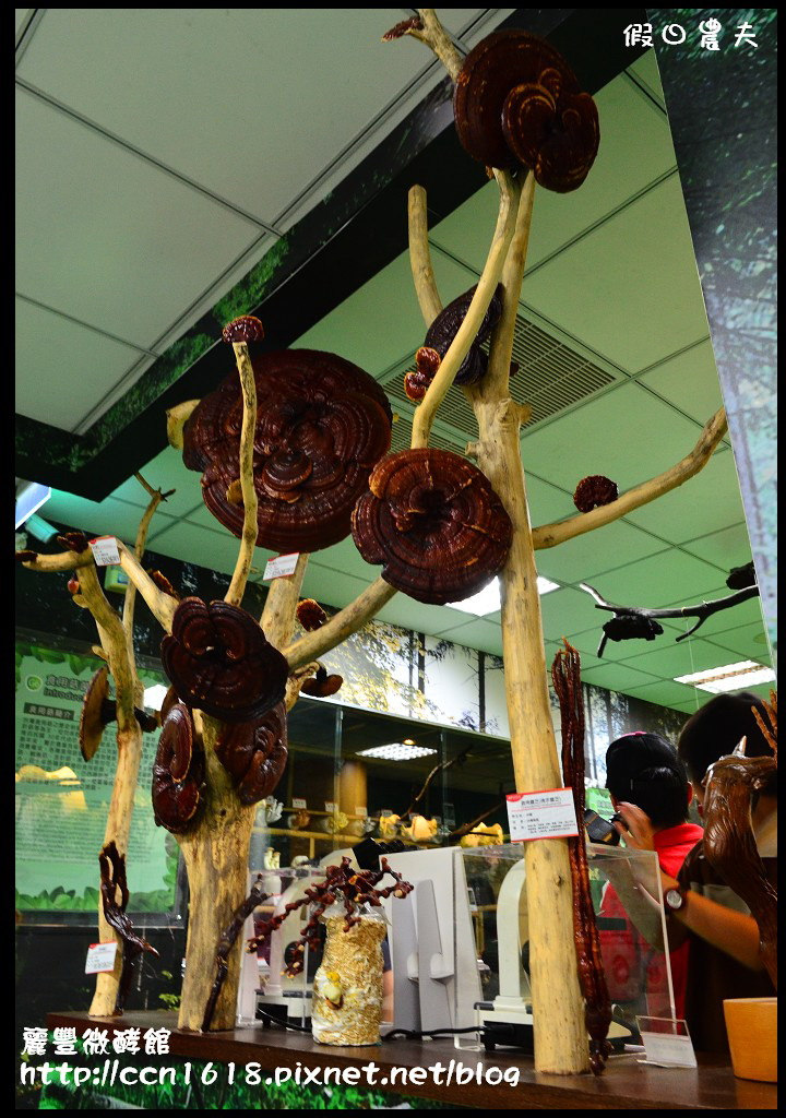 【台南旅遊】麗豐微酵館‧臺灣第一家以【微生物發酵應用】主題的觀光工廠