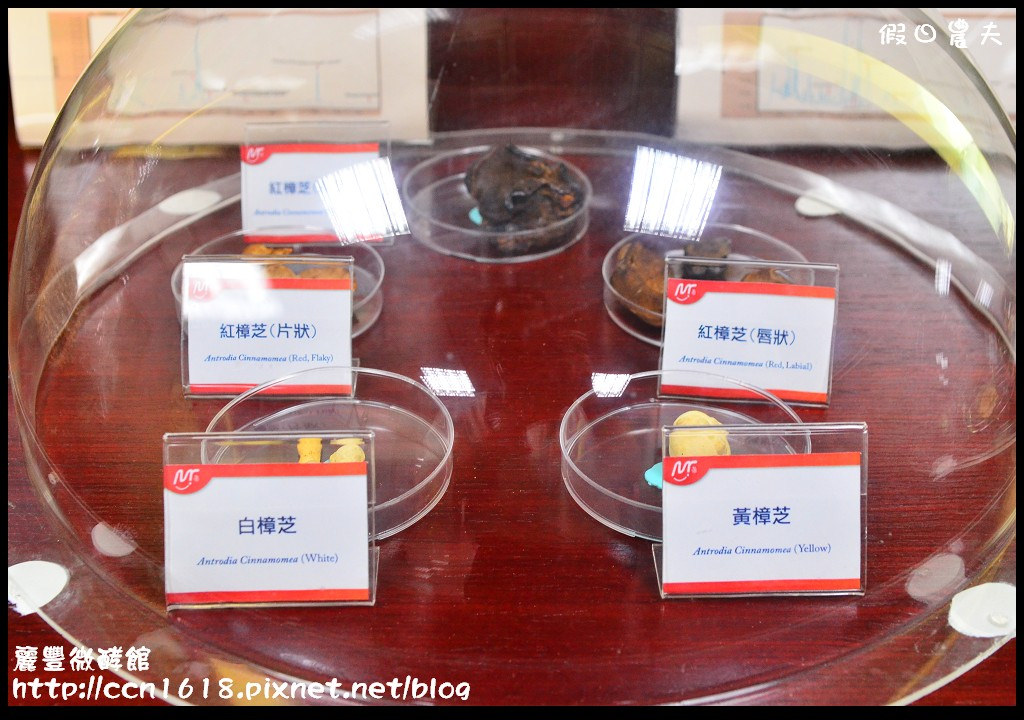 【台南旅遊】麗豐微酵館‧臺灣第一家以【微生物發酵應用】主題的觀光工廠