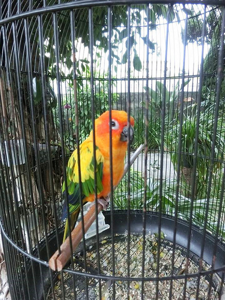 譜戀Prem異國料理景觀餐廳:【口碑券§第74彈】約會首選❤沉浸慢步調,享受健康的義式美食@譜戀Prem異國料理景觀餐廳 譜戀Prem異國料理景觀餐廳:【口碑券§第74彈】約會首選❤沉浸慢步調,享受健康的義式美食@譜戀Prem異國料理景觀餐廳