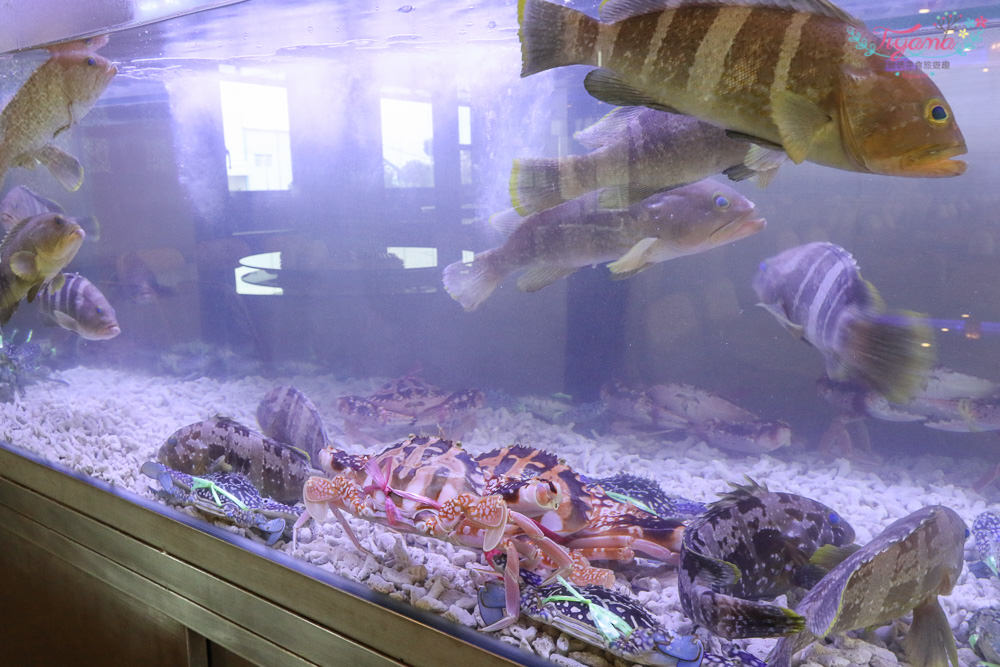 台南新化|知點新時尚料理:近新化老街的精緻台式料理,家庭聚餐好所在|喜慶宴會|團體聚餐 - 緹雅瑪 美食旅遊趣