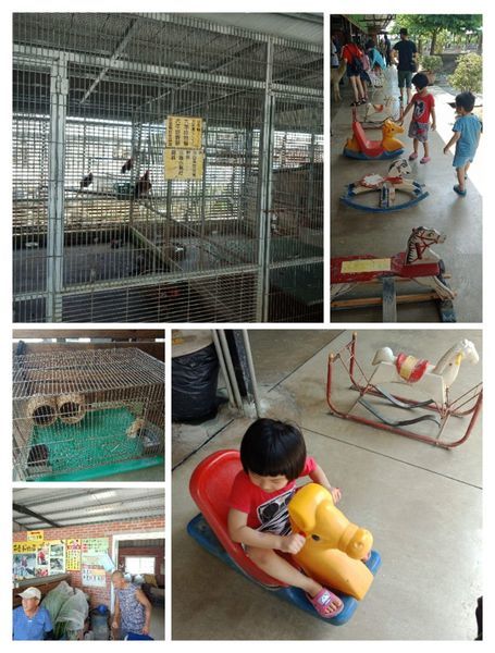 IMG_20200630_214914.jpg771102876