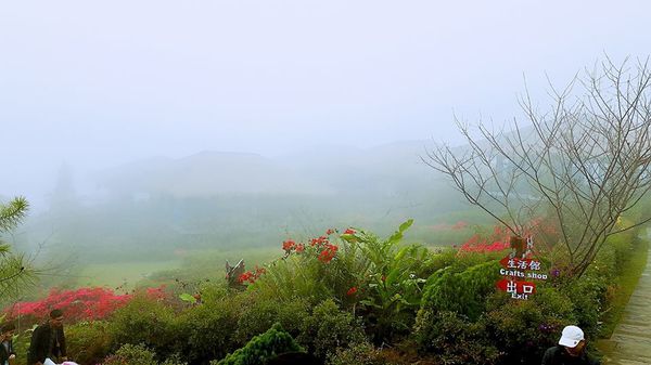 26793501_1658488867505660_1231651882_n