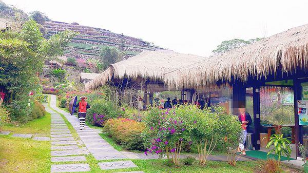 26696762_1658486570839223_623343878_n