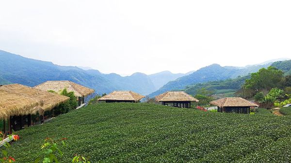 26693922_1658485340839346_1753275982_n