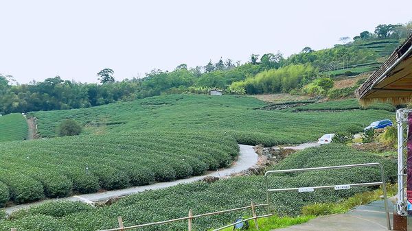 26648623_1658485687505978_879861823_n