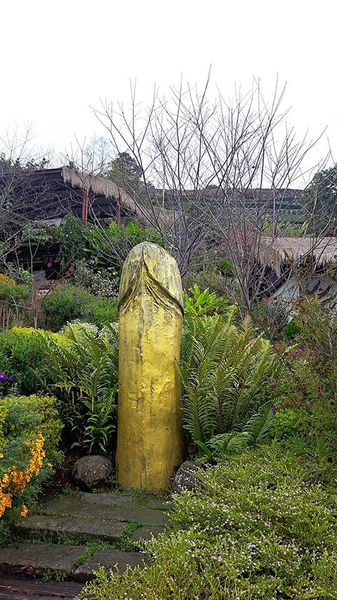 26648559_1658486517505895_1993241861_n