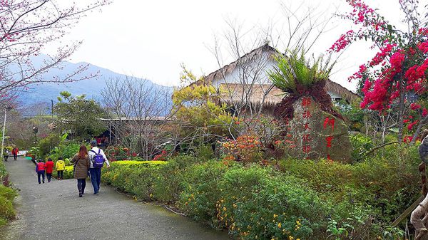 26648563_1658485464172667_550391368_n