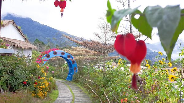 26638294_1658487990839081_558864266_n