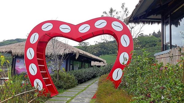 26696571_1658486677505879_213826347_n