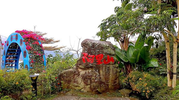 26753783_1658487147505832_1823187199_n