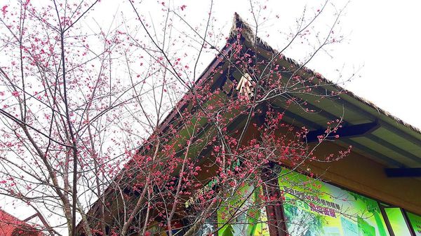 26694540_1658485444172669_1569983708_n