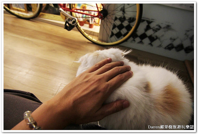 『台北信義區下午茶』框影咖啡The Who Cafe ●立體貓咪臉咖啡 台北101/世貿站美食 不限時咖啡店 四四南村下午茶咖啡店 食尚玩家推薦下午茶