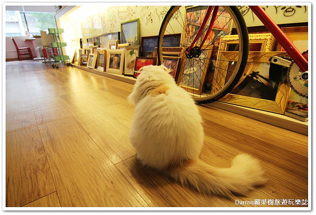 『台北信義區下午茶』框影咖啡The Who Cafe ●立體貓咪臉咖啡 台北101/世貿站美食 不限時咖啡店 四四南村下午茶咖啡店 食尚玩家推薦下午茶