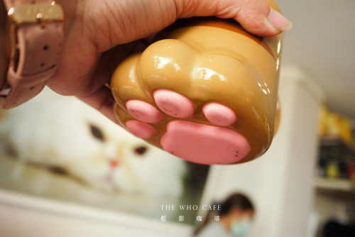 療癒系貓咪咖啡,框影咖啡TheWhoCafe