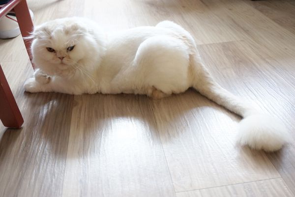 IMG_9843.JPG IMG_9843.JPG