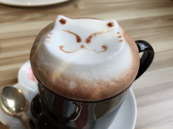 IMG_9913.JPG IMG_9913.JPG