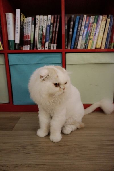 IMG_9860.JPG IMG_9860.JPG