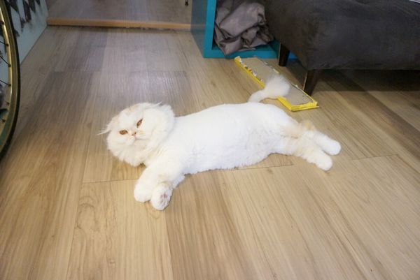 IMG_9856.JPG IMG_9856.JPG