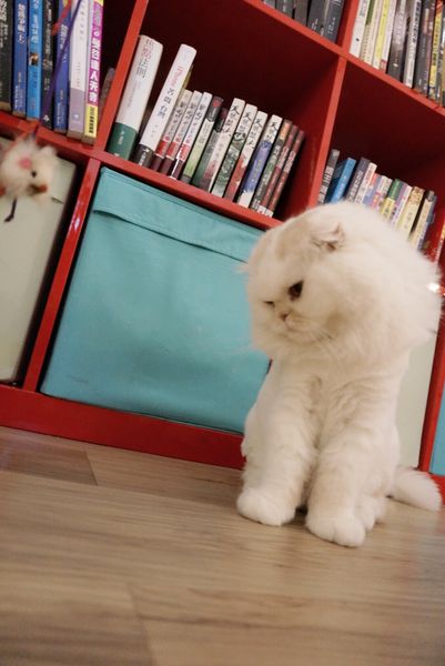 IMG_9861.JPG IMG_9861.JPG