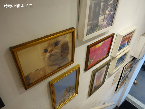 淡水信義線-101/世貿站-超厲害立體貓臉歐雷還有一隻超壯碩店貓~The Who Cafe 框影咖啡(信義店)~