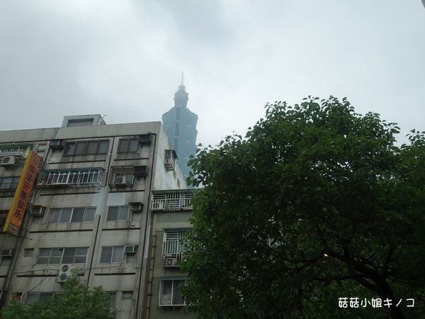 淡水信義線-101/世貿站-超厲害立體貓臉歐雷還有一隻超壯碩店貓~The Who Cafe 框影咖啡(信義店)~