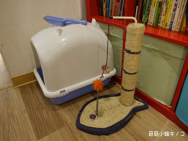 淡水信義線-101/世貿站-超厲害立體貓臉歐雷還有一隻超壯碩店貓~The Who Cafe 框影咖啡(信義店)~