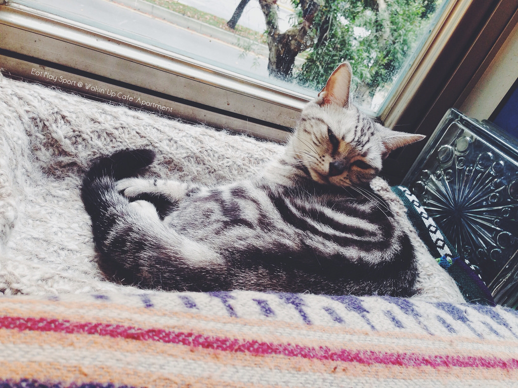 13597286663_14bf487bd2_o