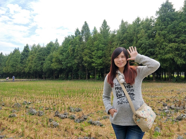 台中霧峰落羽松：【台中霧峰景點】霧峰落羽松~拍攝婚紗及畢業照取景點  情侶拍照趴趴走必來打卡地標