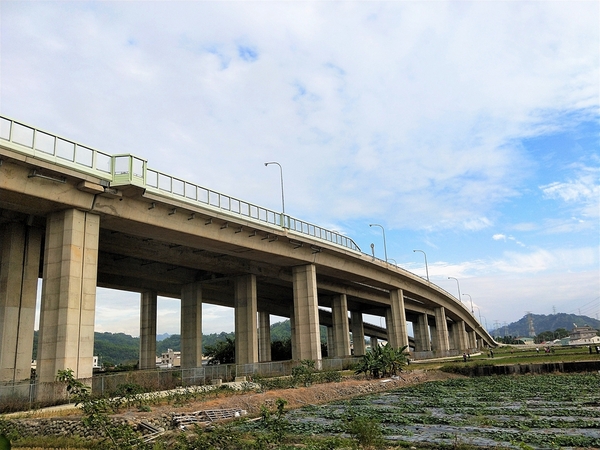 台中霧峰落羽松：【台中霧峰景點】霧峰落羽松~拍攝婚紗及畢業照取景點  情侶拍照趴趴走必來打卡地標