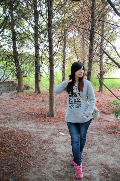 台中霧峰落羽松：【台中霧峰景點】霧峰落羽松~拍攝婚紗及畢業照取景點  情侶拍照趴趴走必來打卡地標