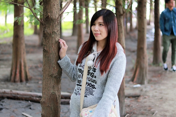 台中霧峰落羽松：【台中霧峰景點】霧峰落羽松~拍攝婚紗及畢業照取景點  情侶拍照趴趴走必來打卡地標