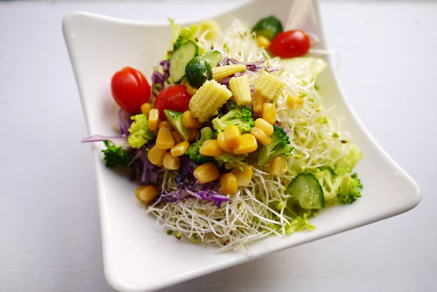 P2220519.jpg P2220519.jpg